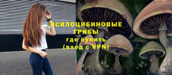 а пвп мука Аркадак